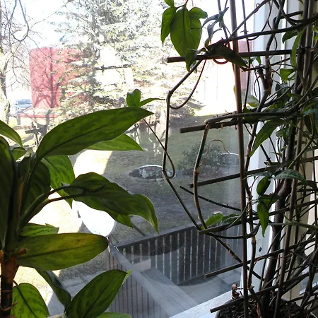 Retro - Kupittaa ゲストハウス